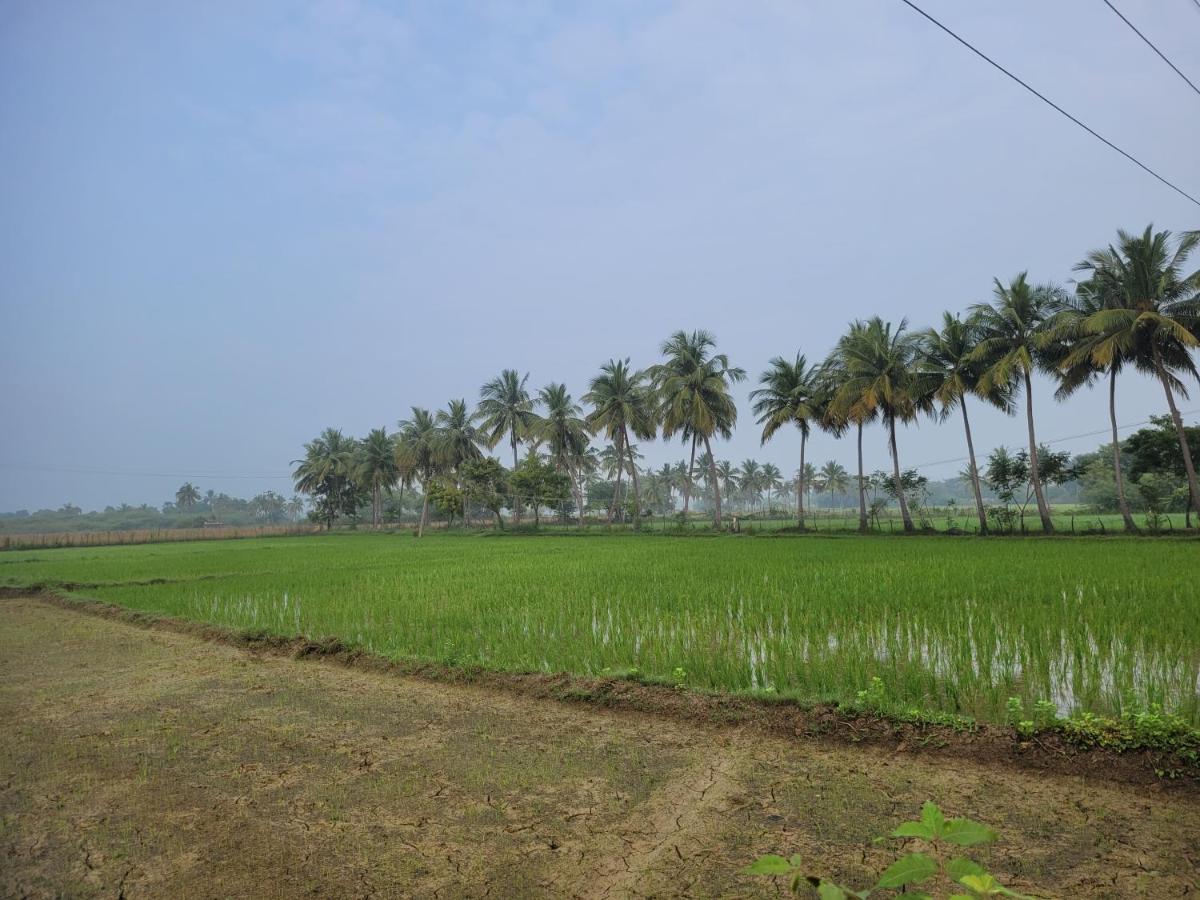Tanjore Home Stay Танджавур Экстерьер фото