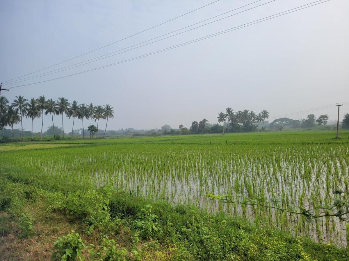 Tanjore Home Stay Танджавур Экстерьер фото