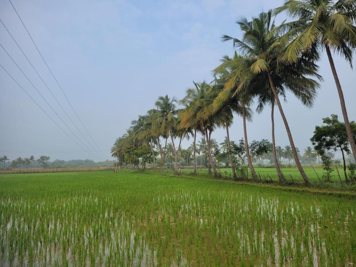 Tanjore Home Stay Танджавур Экстерьер фото
