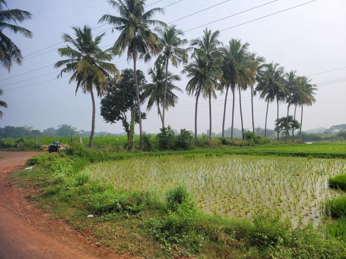 Tanjore Home Stay Танджавур Экстерьер фото