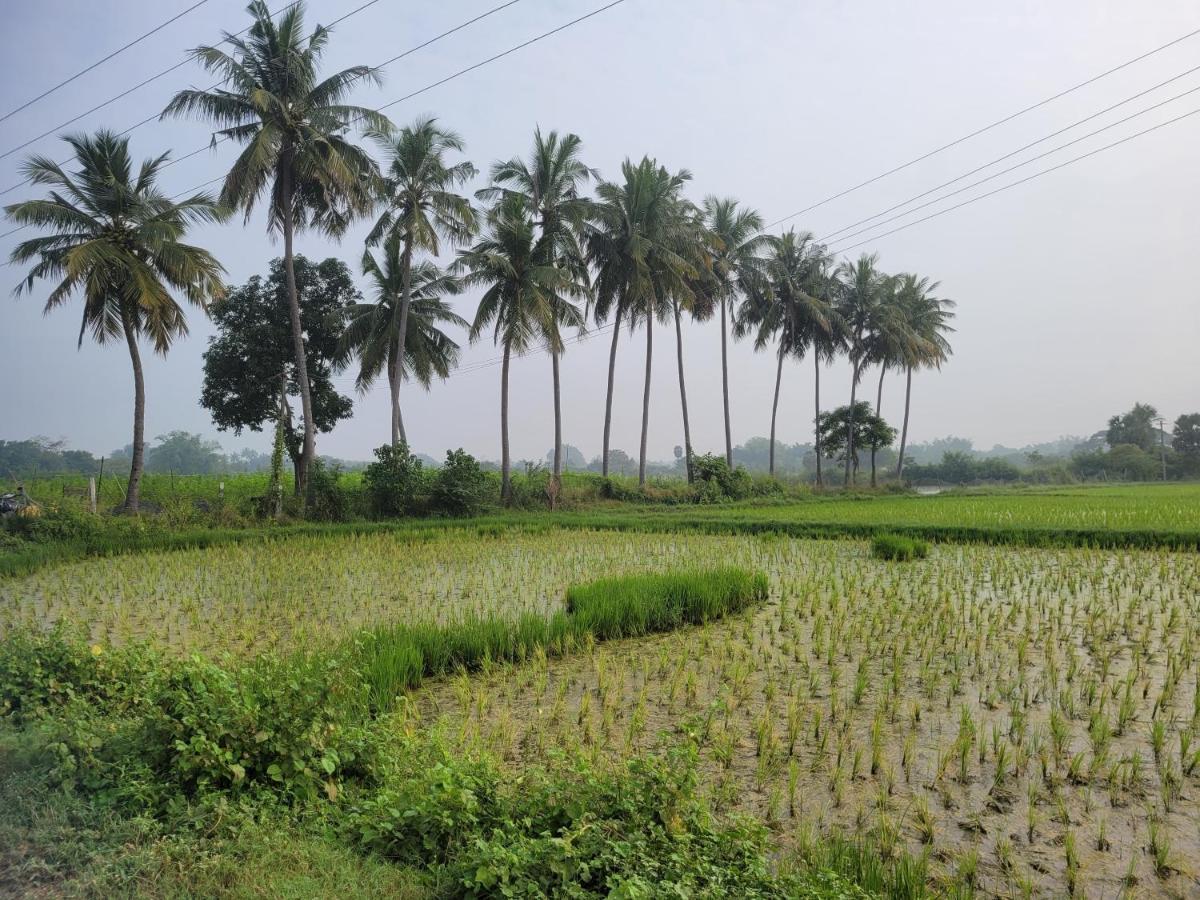 Tanjore Home Stay Танджавур Экстерьер фото